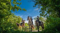 Day Trip to Fontainebleau : Horse Riding, Gastronomy and Castle 