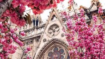 Private Tour of Central Paris: Icons, Secrets & Local Stories