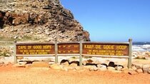 Private Tour Cape of Good Hope-Boulders Penguins from Cape Town