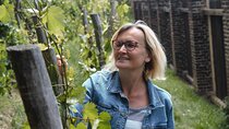 Tour Vysehrad Fortress: Indulge Local Delicacies with a City View