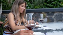 Santorini 5 Hour Private Oia Tour & Lunch/Dinner at a Local Farm