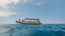 4 Hour Super-Raft Snorkeling Experience in Kailua-Kona