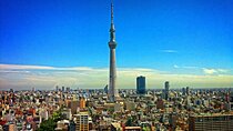 Private Memorable Tokyo Tour with English Speaking Driver