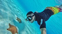 Cozumel by transparent boat and snorkeling in the sky with lunch.