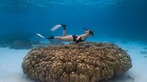 Raya Island / Mai Ton Island Private Boat Tour
