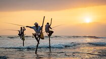 1 Day Private Tour Itinerary for Bentota, Hikkaduwa and Galle