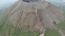 Vesuvius tour from Naples with lunch
