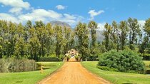 Wine tasting in Cape Winelands Tour 