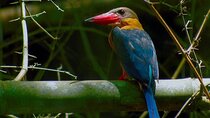 Nam Cat Tien National Park 2 Days 1 Night - Private Tour