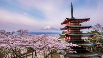 Mount Fuji & Hokane Lakes with English-speaking Guide