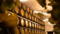 Lisbon Luxury Tagus Wine Tour Experience 