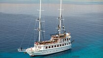 Private Boat Rental in Sharm EL Sheikh Aboard Barbarosa