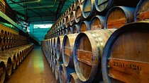 Small Group Full-Day Arrábida Wine Tour and Food Tasting