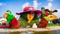 Dubai Miracle Garden Ticket With Transfers