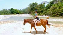 Horseback Ride, City Highlight Tour Ocho Rios(Entry fee included)