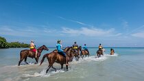 Lethe Bamboo Rafting ATV Horseback Riding Tour in Montego Bay