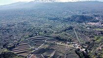 Etna panoramic private tour and Wine taste and food combination