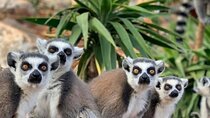 Private Family Tour | Designed for Kids Fun Day by Local Parents