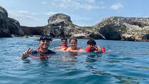 Basic Marietas Islands Tour Snorkeling Playa Nopalera and more