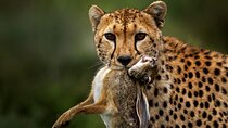 2 Days Tour in Lake Manyara National Park & Ngorongoro Crater