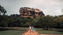 Full day tour to Dambulla, Sigiriya, Elephant Safari from Colombo