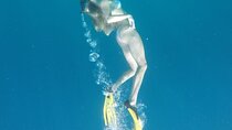 Snorkeling Tour In Gili Islands Pick Up From Bali