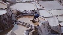 Sacred Valley of the Incas and Maras Moray Full Day Tour