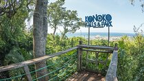 Konoko Falls, City Highlights Ocho Rios (entry fees included)