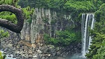 Jeju Private Tour Package-South of Jeju(Mt.Hallasan & Waterfalls)