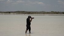  Full Day Tour from Tulum to Rio Lagartos