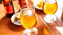 Private Spanish Beer Tasting Tour in Barcelona Old Town