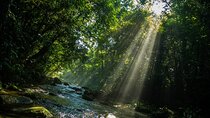 Coastal Trail Adventure in Bertioga: Exploring Natural Beauty