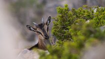 Full-Day Private Samaria National Park Hiking Experience