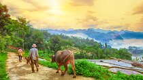 Pu Luong and Halong Bay Multi-Day Private Luxury Tour