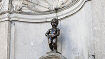 Brussels Highlight tour with a real Belgian guide
