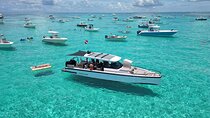 Miami Bay Discovery Private Yacht Cruise with Captain 
