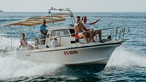 Private Boat Tours NP Brijuni and Pula islands