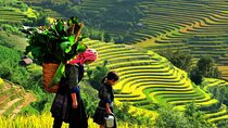 Hanoi Sapa 3 Days Trekking Tour by Cabin Bus, Hotel & Homestay