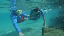 Experience Peanut Island Adventures