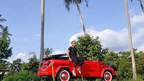 Full day Private Tour in Ubud with Classic Car