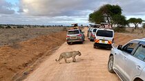 3-Days Guided Safari Tour of Tsavo East & Taita from Nairobi.