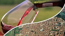 Lucca & Winery Private Tour