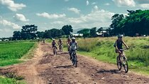Discover the Serenity of Rau Forest on a Half-Day Bike Tour