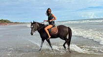 30 Minutes Horse Riding Seminyak Beach