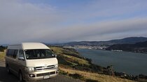 Half-Day Private City, Sights & Wildlife Tours
