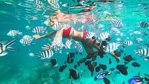 Zanzibar Half Day Trip in Mnemba Island 