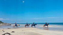 Guided Horseback Riding on The Pristine Waters of Miami Florida