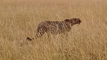 3 Days Safari to Amboseli National Park starting from Nairobi