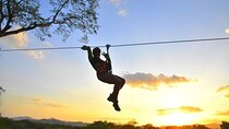 Customizable Zipline Adventure 