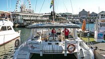 Cape Town City Tour with Paragliding and Sunset Cruise